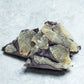 Crystallized Ginger in Dark Chocolate